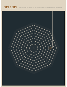 LÁMINA SPIDERS 2