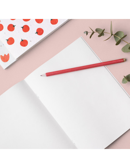 CUADERNO PLANTABLE FLORES