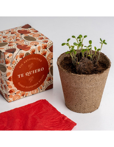 AUTOCULTIVO TE QUIERO