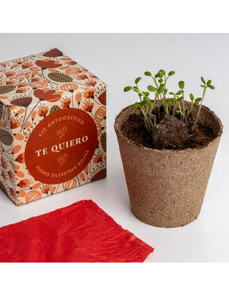 AUTOCULTIVO TE QUIERO