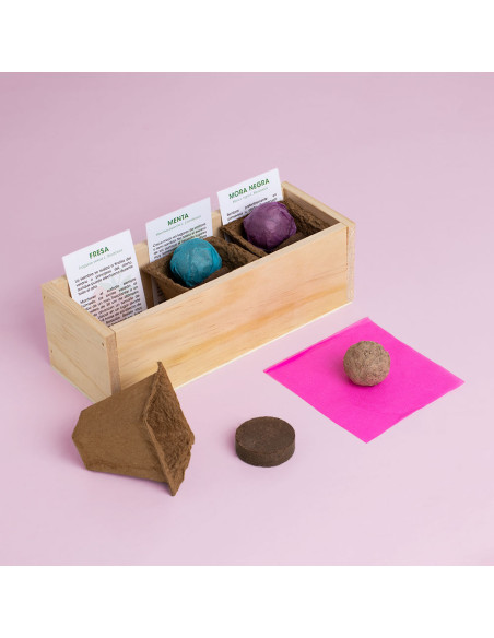 KIT AUTOCULTIVO POSTRES